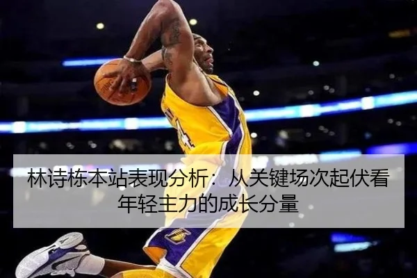林诗栋本站表现分析：从关键场次起伏看年轻主力的成长分量（fbtiyu）